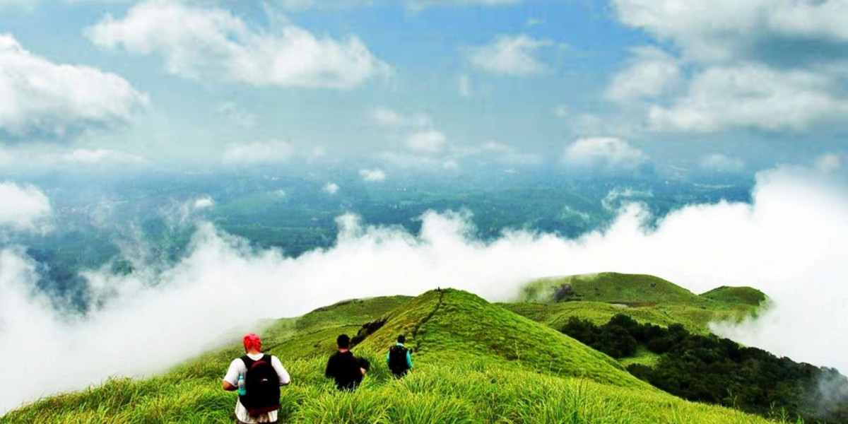 Ooty Mysore Coorg Holiday Package for Nature Enthusiasts