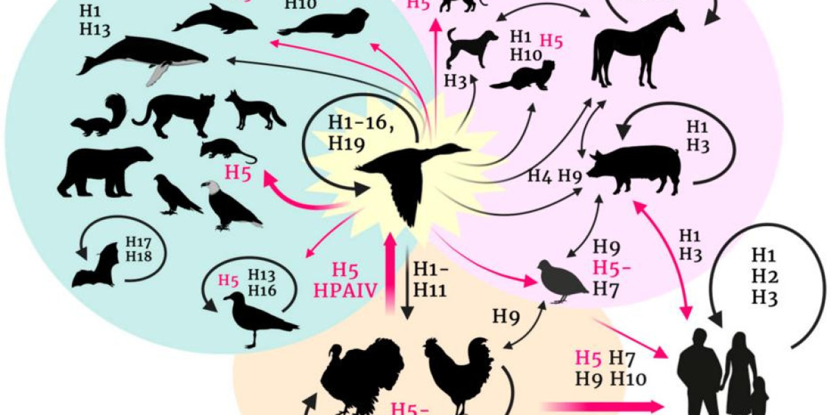 Creative Diagnostics Introduces New H5N1 Antibodies and Antigens for Research Applications