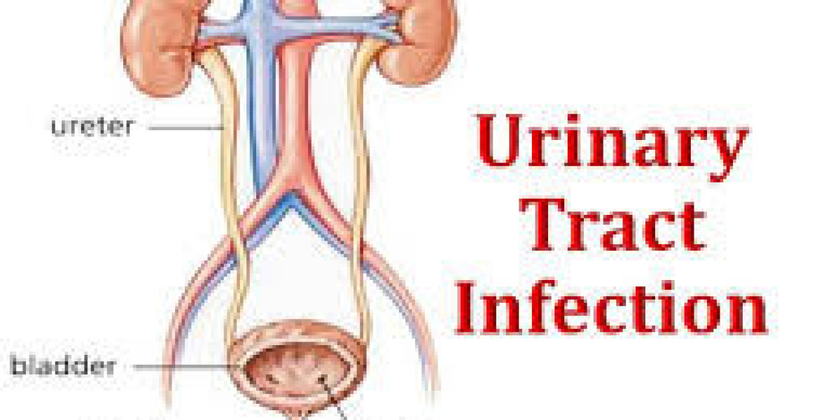 Urinary Tract Infections: Causes, Symptoms, and the Best Treatment Options