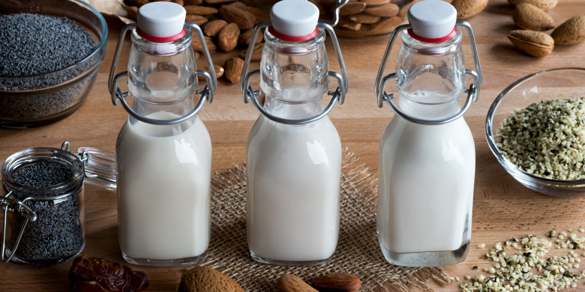 India Plant-Based Milk Market Trends Report and Forecast 2025-2033